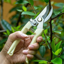 Stainless Steel Pruning Shears with Sharp Blades and Comfortable handle - Durable Hand Pruner for Comfortable and Easy Cutting, Heavy Duty Gardening Cutter Tool Plant Cutter for Home Garden | Wood Bran (1 Pc)