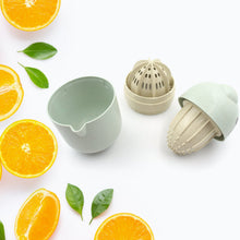 Food-grade plastic juicer for making fresh citrus juices